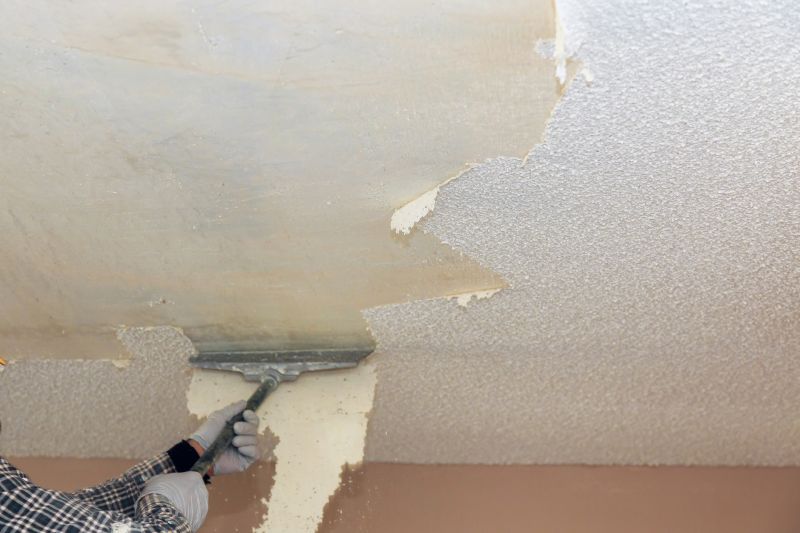 Ceiling Scraping in Georgetown, TX