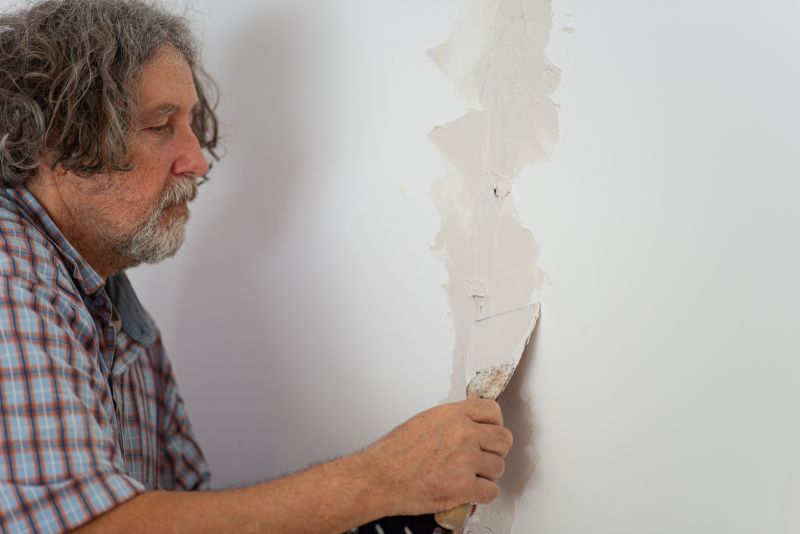 Home Plaster Repair