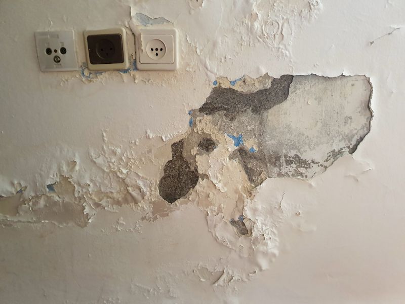 Interior Plaster Repair